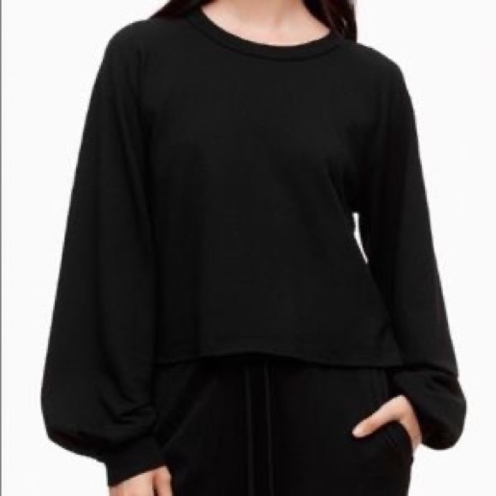 Aritzia cropped sweatshirt